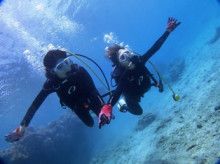 沖縄青の洞窟ダイビングショップ【マリンクラブクレアブログ】