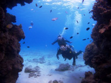 沖縄青の洞窟ダイビングショップ【マリンクラブクレアブログ】