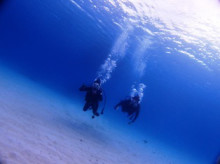 沖縄青の洞窟ダイビングショップ【マリンクラブクレアブログ】