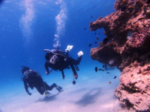 沖縄青の洞窟ダイビングショップ【マリンクラブクレアブログ】