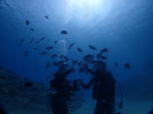 沖縄青の洞窟ダイビングショップ【マリンクラブクレアブログ】