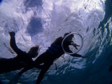 沖縄青の洞窟ダイビングショップ【マリンクラブクレアブログ】