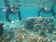 沖縄青の洞窟ダイビングショップ【マリンクラブクレアブログ】