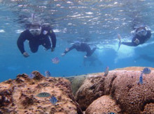 沖縄青の洞窟ダイビングショップ【マリンクラブクレアブログ】