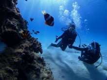 沖縄青の洞窟ダイビングショップ【マリンクラブクレアブログ】