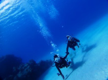 沖縄青の洞窟ダイビングショップ【マリンクラブクレアブログ】