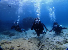 沖縄青の洞窟ダイビングショップ【マリンクラブクレアブログ】