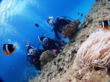 沖縄青の洞窟ダイビングショップ【マリンクラブクレアブログ】