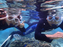 沖縄青の洞窟ダイビングショップ【マリンクラブクレアブログ】