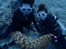 沖縄青の洞窟ダイビングショップ【マリンクラブクレアブログ】