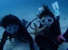 沖縄青の洞窟ダイビングショップ【マリンクラブクレアブログ】