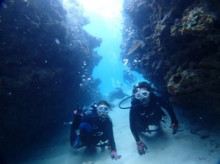 沖縄青の洞窟ダイビングショップ【マリンクラブクレアブログ】