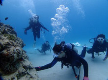 沖縄青の洞窟ダイビングショップ【マリンクラブクレアブログ】