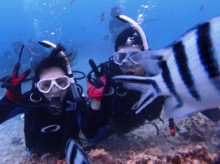 沖縄青の洞窟ダイビングショップ【マリンクラブクレアブログ】