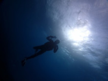 沖縄青の洞窟ダイビングショップ【マリンクラブクレアブログ】