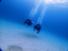 沖縄青の洞窟ダイビングショップ【マリンクラブクレアブログ】