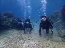 沖縄青の洞窟ダイビングショップ【マリンクラブクレアブログ】