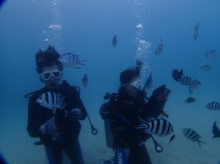 沖縄青の洞窟ダイビングショップ【マリンクラブクレアブログ】