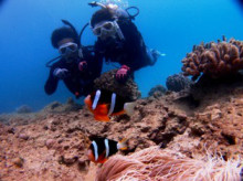 沖縄青の洞窟ダイビングショップ【マリンクラブクレアブログ】