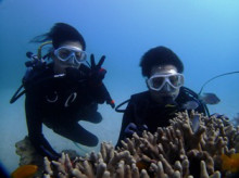 沖縄青の洞窟ダイビングショップ【マリンクラブクレアブログ】