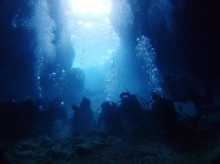 沖縄青の洞窟ダイビングショップ【マリンクラブクレアブログ】