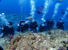 沖縄青の洞窟ダイビングショップ【マリンクラブクレアブログ】