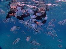 沖縄青の洞窟ダイビングショップ【マリンクラブクレアブログ】