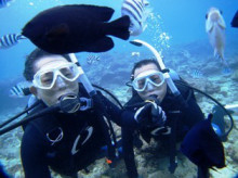 沖縄青の洞窟ダイビングショップ【マリンクラブクレアブログ】