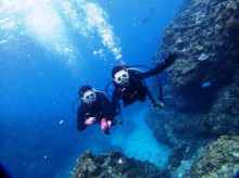 沖縄青の洞窟ダイビングショップ【マリンクラブクレアブログ】