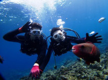 沖縄青の洞窟ダイビングショップ【マリンクラブクレアブログ】