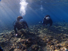 沖縄青の洞窟ダイビングショップ【マリンクラブクレアブログ】