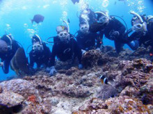 沖縄青の洞窟ダイビングショップ【マリンクラブクレアブログ】