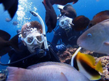 沖縄青の洞窟ダイビングショップ【マリンクラブクレアブログ】