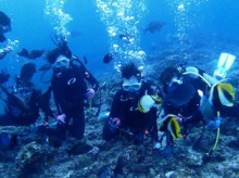 沖縄青の洞窟ダイビングショップ【マリンクラブクレアブログ】