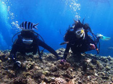 沖縄青の洞窟ダイビングショップ【マリンクラブクレアブログ】