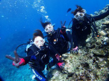 沖縄青の洞窟ダイビングショップ【マリンクラブクレアブログ】