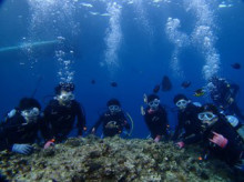 沖縄青の洞窟ダイビングショップ【マリンクラブクレアブログ】