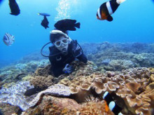 沖縄青の洞窟ダイビングショップ【マリンクラブクレアブログ】