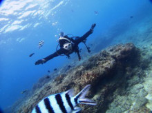 沖縄青の洞窟ダイビングショップ【マリンクラブクレアブログ】