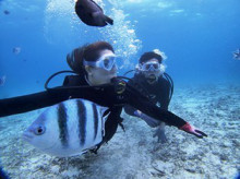 沖縄青の洞窟ダイビングショップ【マリンクラブクレアブログ】