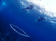 沖縄青の洞窟ダイビングショップ【マリンクラブクレアブログ】