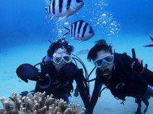 沖縄青の洞窟ダイビングショップ【マリンクラブクレアブログ】