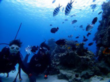 沖縄青の洞窟ダイビングショップ【マリンクラブクレアブログ】