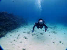 沖縄青の洞窟ダイビングショップ【マリンクラブクレアブログ】