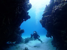 沖縄青の洞窟ダイビングショップ【マリンクラブクレアブログ】