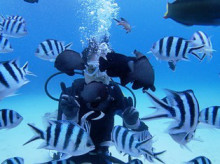 沖縄青の洞窟ダイビングショップ【マリンクラブクレアブログ】