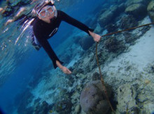 沖縄青の洞窟ダイビングショップ【マリンクラブクレアブログ】