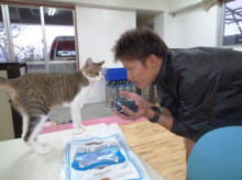 沖縄青の洞窟ダイビングショップ【マリンクラブクレアブログ】