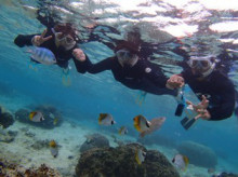 沖縄青の洞窟ダイビングショップ【マリンクラブクレアブログ】