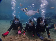 沖縄青の洞窟ダイビングショップ【マリンクラブクレアブログ】